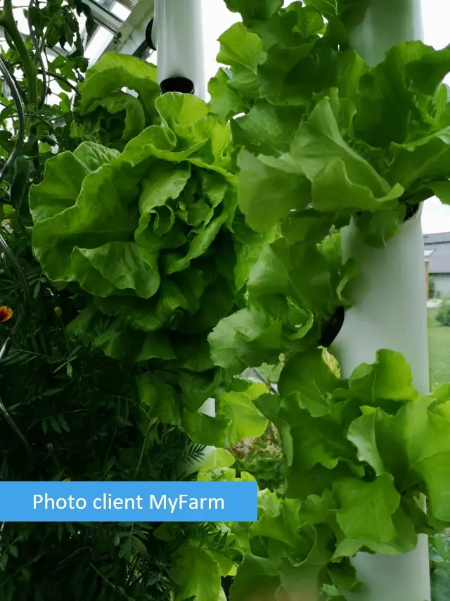 Serre automatisée aquaponique myFarm à Gembloux