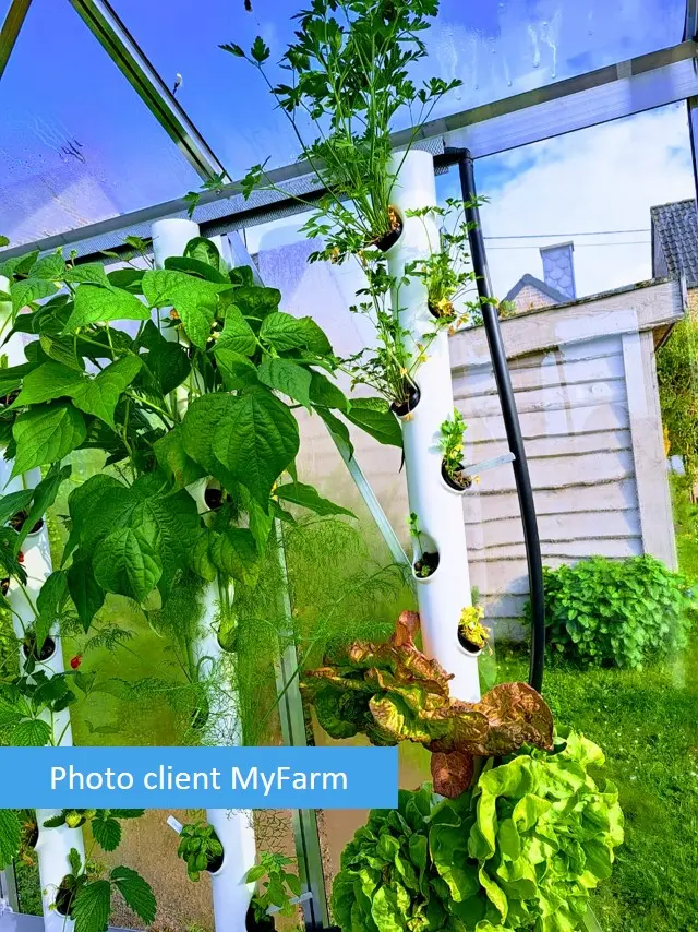 Serre automatisée aquaponique myFarm à Arsimon