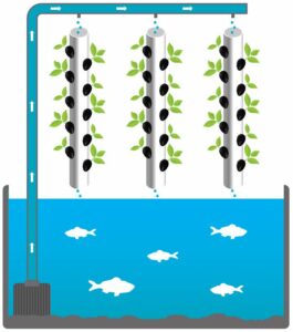 Fonctionnement de la serre automatisée aquaponique myFarm